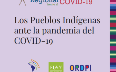 Primer Informe Regional: Plataforma Indígena Regional Covid-19