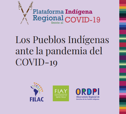 Primer Informe Regional: Plataforma Indígena Regional Covid-19