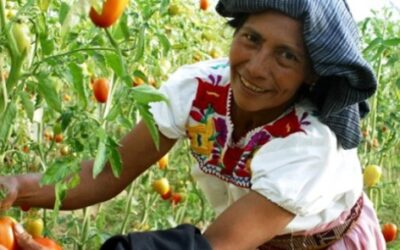 “Participación de los Pueblos Indígenas es crucial para garantizar la protección de la naturaleza y sus derechos”