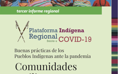 RESUMEN EJECUTIVO del primer Informe de la Plataforma Regional. Mayo de 2020