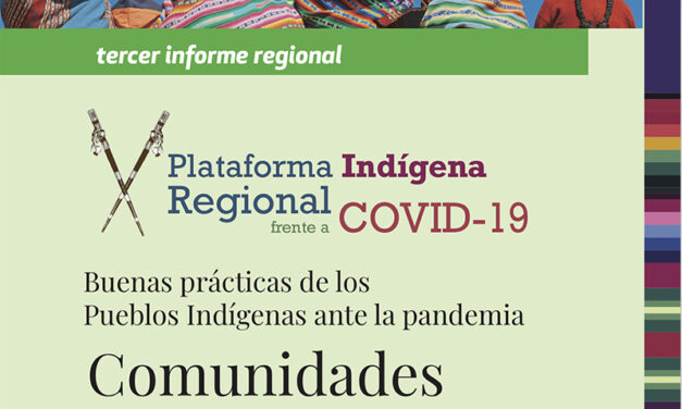 RESUMEN EJECUTIVO del primer Informe de la Plataforma Regional. Mayo de 2020