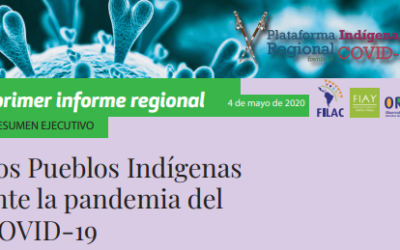 Resumen ejecutivo del primer Informe de la Plataforma Regional