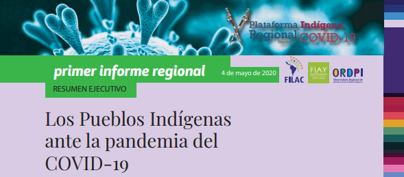 Resumen ejecutivo del primer Informe de la Plataforma Regional