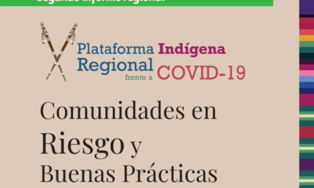 Segundo Informe Regional: Riesgos y Buenas Prácticas. Junio de 2020