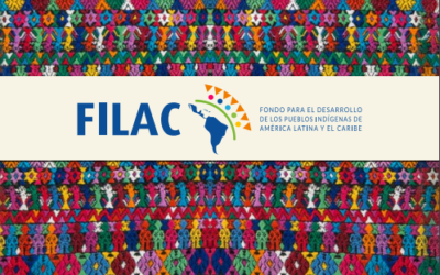 Brochure institucional FILAC