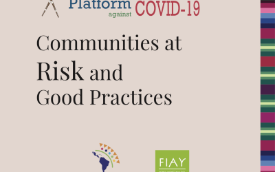 Second Regional Report: On Risks and Good Practices