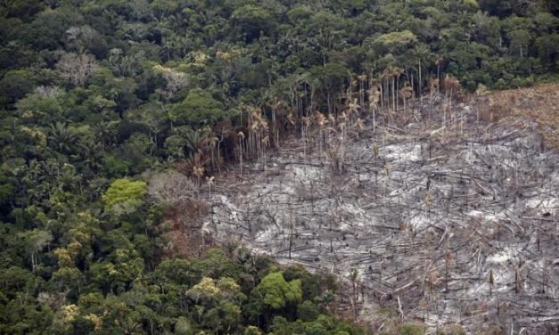 Los pueblos indígenas son los que mejor gestionan los bosques, según la ONU