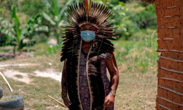 Les peuples indigènes sont les meilleurs gardiens des forêts d’Amérique latine