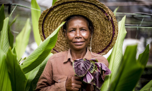 La ONU involucrará a millones de personas del medio rural en la Cumbre sobre Sistemas Alimentarios de 2021 como parte de un ambicioso proceso de participación pública