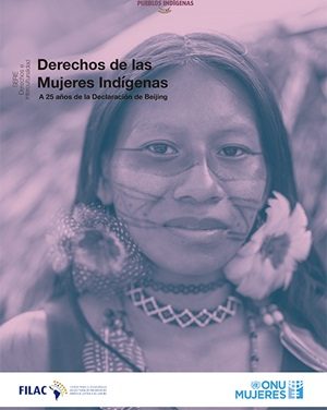 Informe “Derechos de las Mujeres Indígenas a 25 años de la Declaración de Beijing”