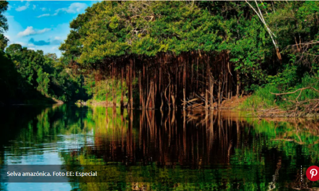 Conservación del planeta será inviable sin los pueblos indígenas