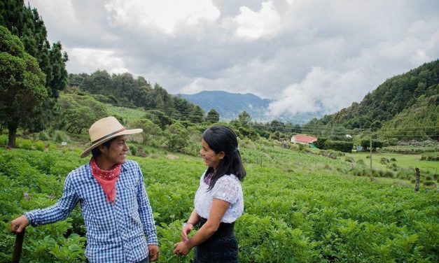 Foro Mundial de Jóvenes Indígenas: Los Sistemas Alimentarios deben contener un enfoque intergeneracional y holístico, reconociendo el derecho de los Pueblos Indígenas