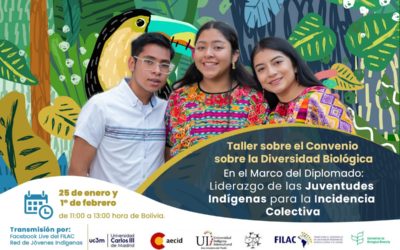 Taller: Convenio sobre la Diversidad Biológica Juventudes Indígenas en América Latina y El Caribe