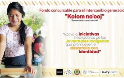 FILAC capacita a jóvenes indígenas en  la gestión administrativa de proyectos