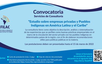 Convocatoria: Consultoría «Estudio sobre empresas privadas y Pueblos Indígenas en América Latina y el Caribe»