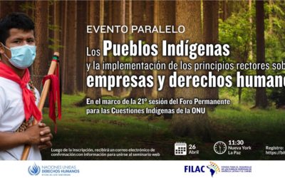 Evento Paralelo UNPFFI:“Los Pueblos Indígenas y la implementación de los principios rectores sobre Empresas y Derechos Humanos”