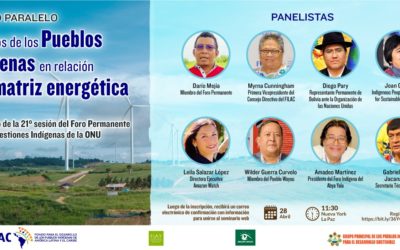 Evento Paralelo: “Derechos de los Pueblos Indígenas en relación con la matriz energética mundial”