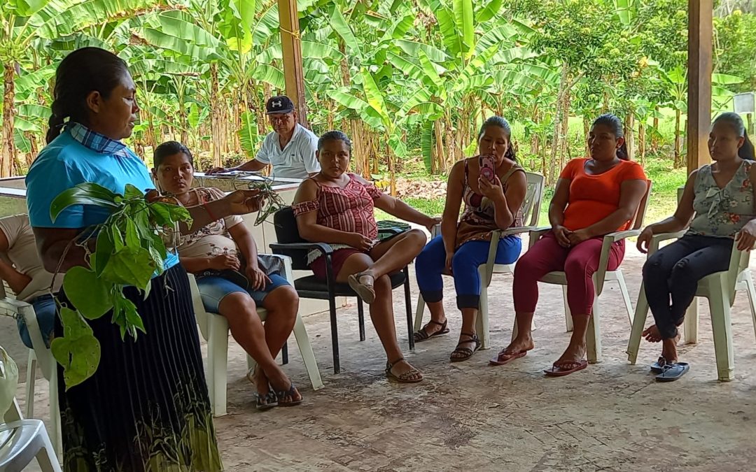 Costa Rica: Juventudes indígenas Cabécar fortalecen sabiduría indígena para la soberanía alimentaria