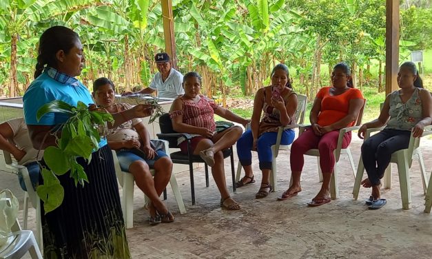 Costa Rica: Juventudes indígenas Cabécar fortalecen sabiduría indígena para la soberanía alimentaria