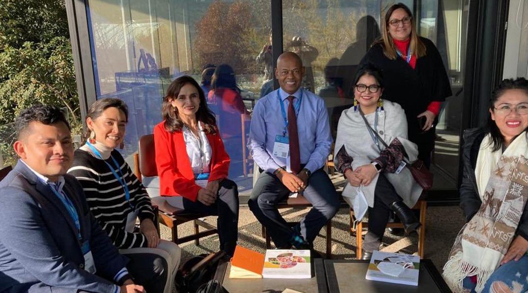 FILAC y Red de Jóvenes Indígenas participan en la IV Conferencia Regional sobre Población y Desarrollo