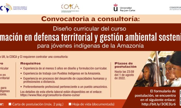 Convocatoria a consultoría para el diseño curricular de un curso para jóvenes indígenas de la amazonia