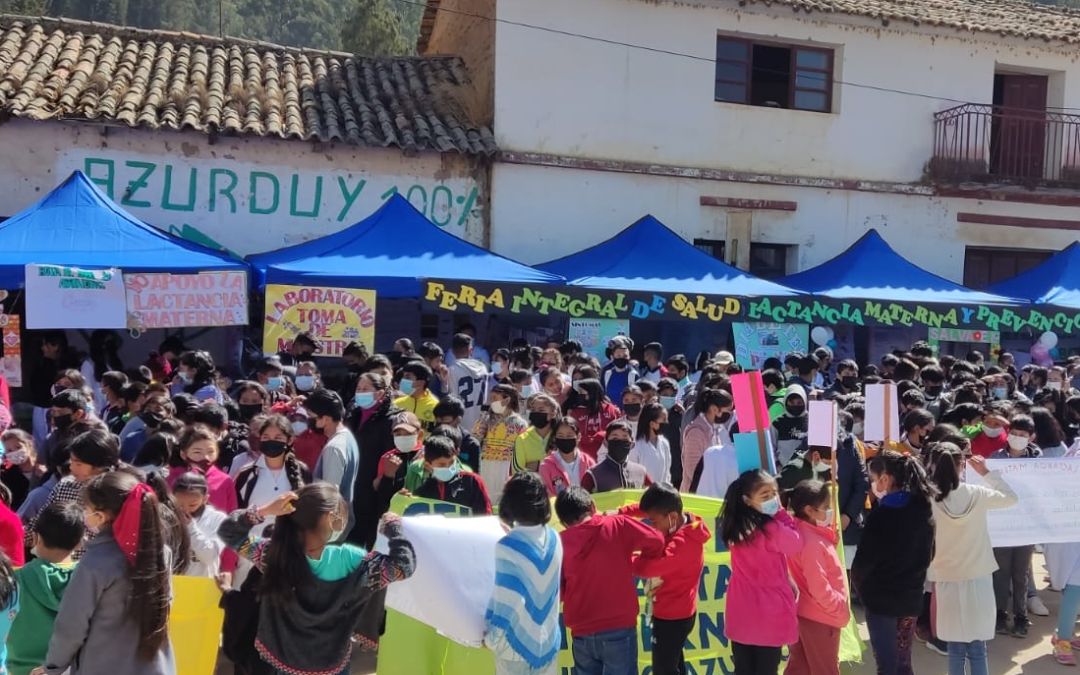 Feria de salud para promocionar la lactancia materna y prevenir la diabetes se realiza en Villa Azurduy