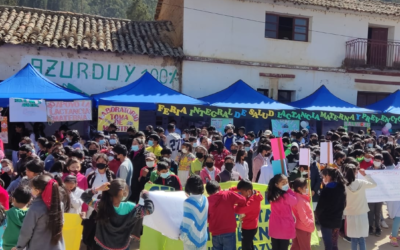 Feria de salud para promocionar la lactancia materna y prevenir la diabetes se realiza en Villa Azurduy