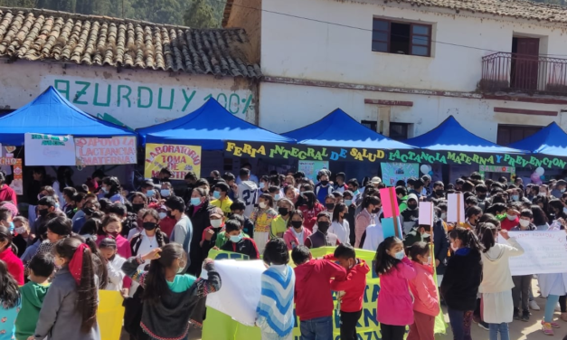 Feria de salud para promocionar la lactancia materna y prevenir la diabetes se realiza en Villa Azurduy