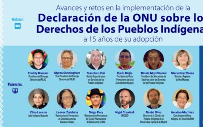 Analizarán Declaración de la ONU sobre los Derechos de los PI a 15 años de su adopción