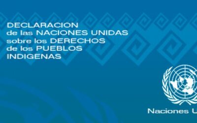 Declaración de las Naciones Unidas sobre los derechos de los Pueblos Indígenas