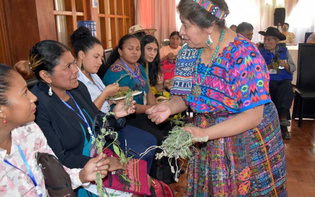 Guatemala desarrolla norma con pertinencia cultural para el reconocimiento de la medicina tradicional