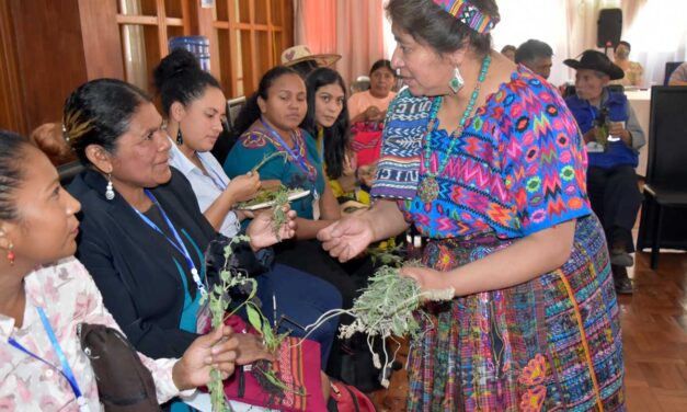 Guatemala desarrolla norma con pertinencia cultural para el reconocimiento de la medicina tradicional