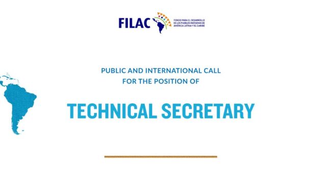 Public and International Call for the position of Technical Secretary