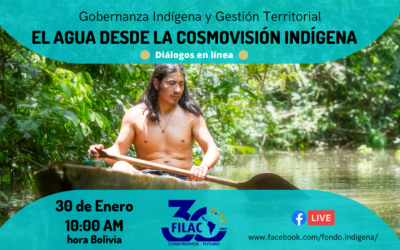 Diálogo en Línea: El Agua desde la cosmovisión de los Pueblos Indígenas