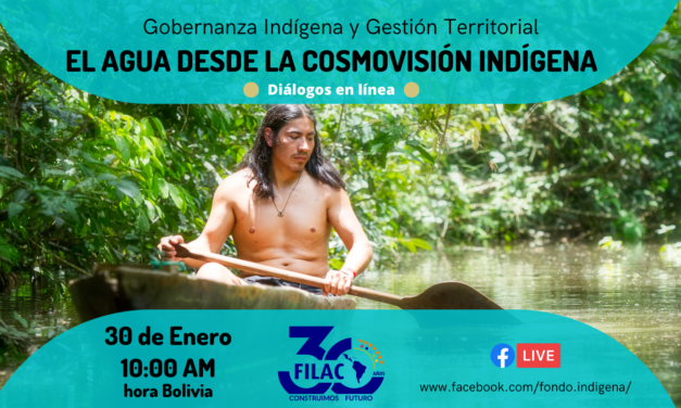 Diálogo en Línea: El Agua desde la cosmovisión de los Pueblos Indígenas