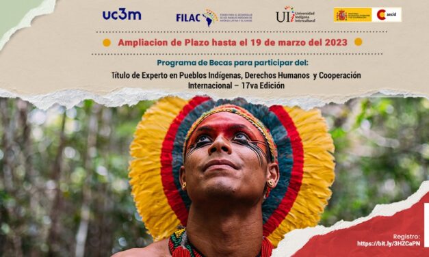 Ampliación Plazo: Becas para Título de Experto en Pueblos Indígenas, DD.HH. y Cooperación Internacional