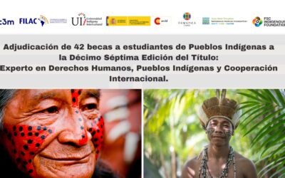 Adjudicación becas Título: Experto en DD.HH Pueblos Indígenas y Cooperación Internacional