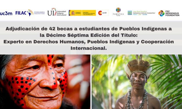 Adjudicación becas Título: Experto en DD.HH Pueblos Indígenas y Cooperación Internacional