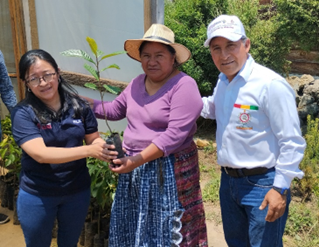 Guatemala avanza en el uso de medicina tradicional para el tratamiento de diabetes