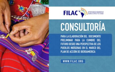 Consultoría: Elaboración de documento para Cumbre del Futuro desde perspectiva de los Pueblos Indígenas