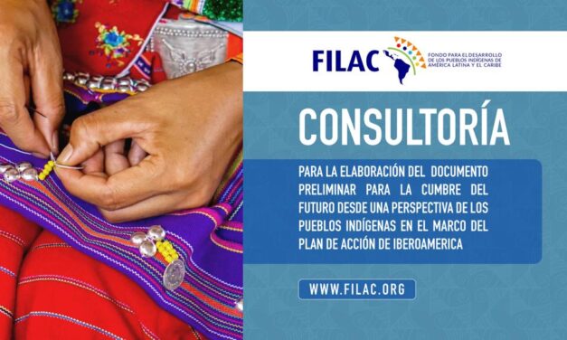 Consultoría: Elaboración de documento para Cumbre del Futuro desde perspectiva de los Pueblos Indígenas